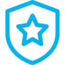 data-guarantee-car-history-check-caranalytics